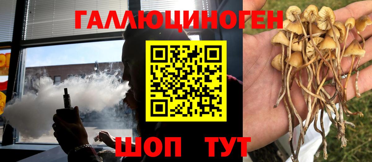 купить наркотики сайты  Вход с VPN  Белореченск  Псилоцибиновые грибы MAGIC MUSHROOMS 